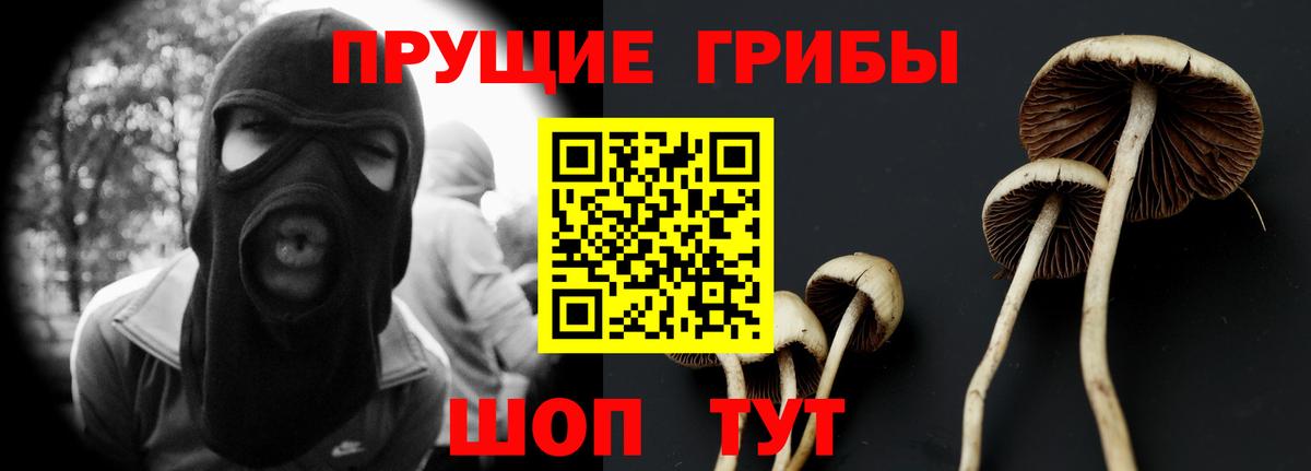 Приморско-Ахтарск  Галлюциногенные грибы ЛСД  Вход с VPN 